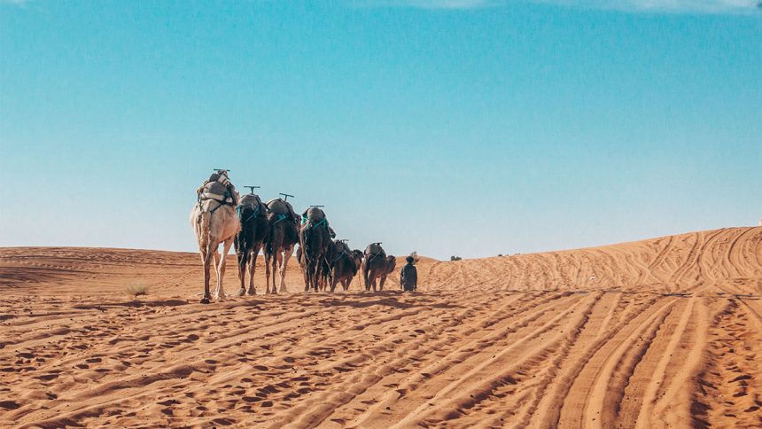 What to Bring to the Sahara Desert of Morocco