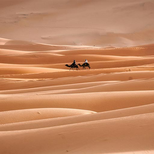 Sahara Desert