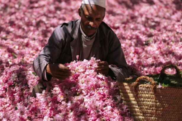 Valentine’s Day in Morocco