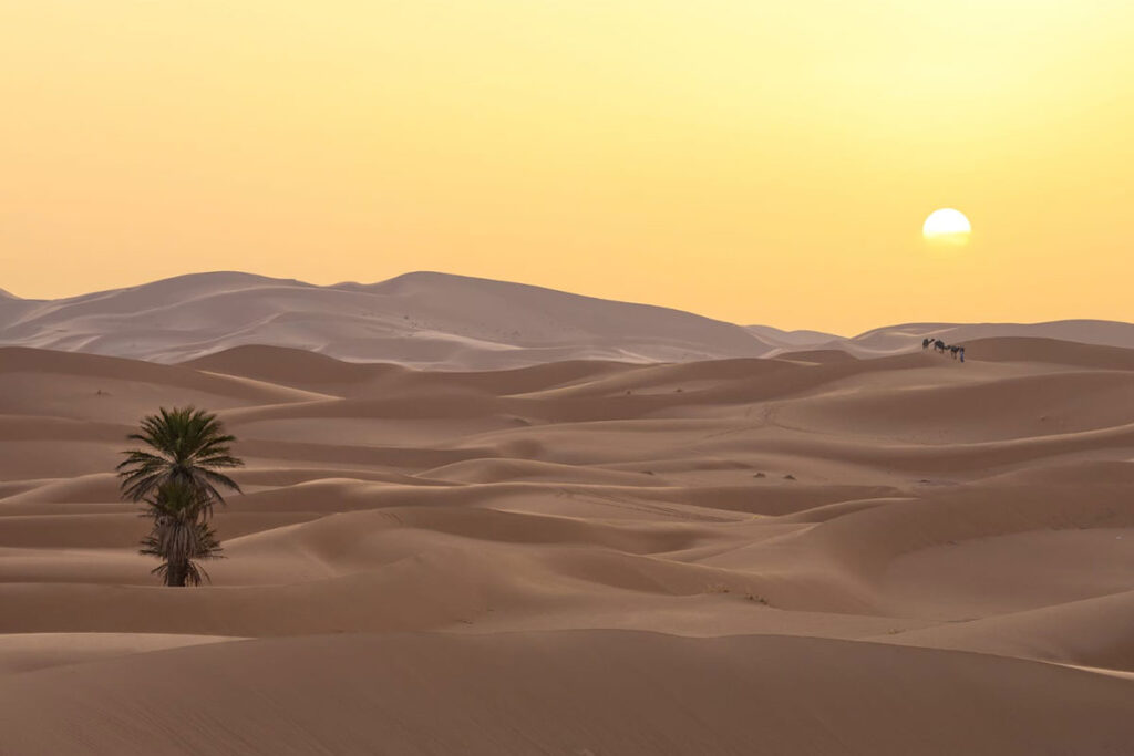 Morocco Desert Sunset Must Visit Morocco
